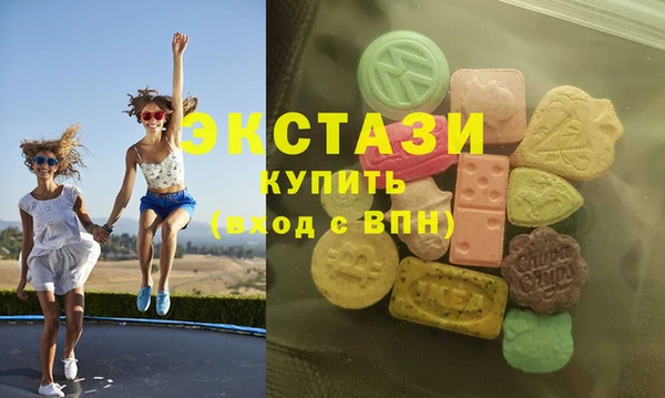 индика Мурманск