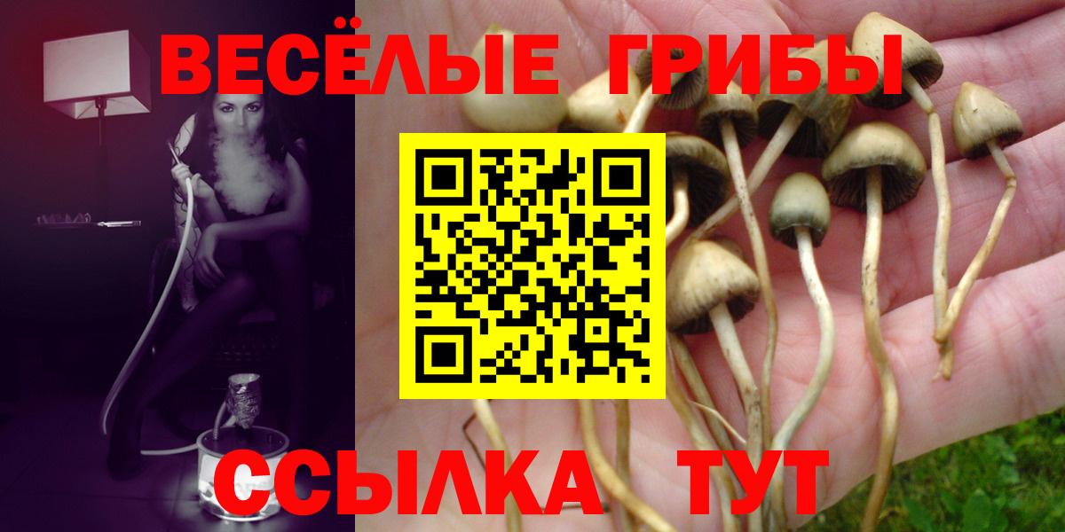 Галлюциногенные грибы Psilocybine cubensis  Вход с VPN  Старый Оскол 